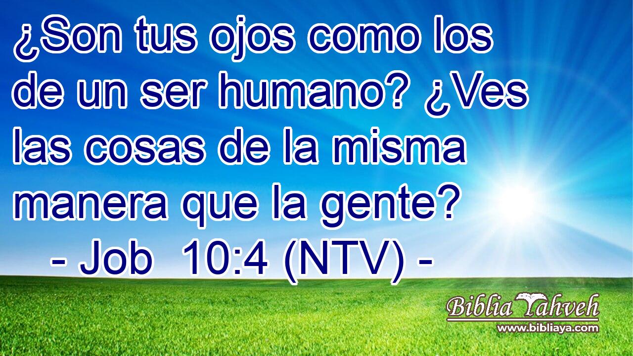 ¿Son tus ojos como los de un ser humano? ¿Ves las cosas de la misma manera que la gente?