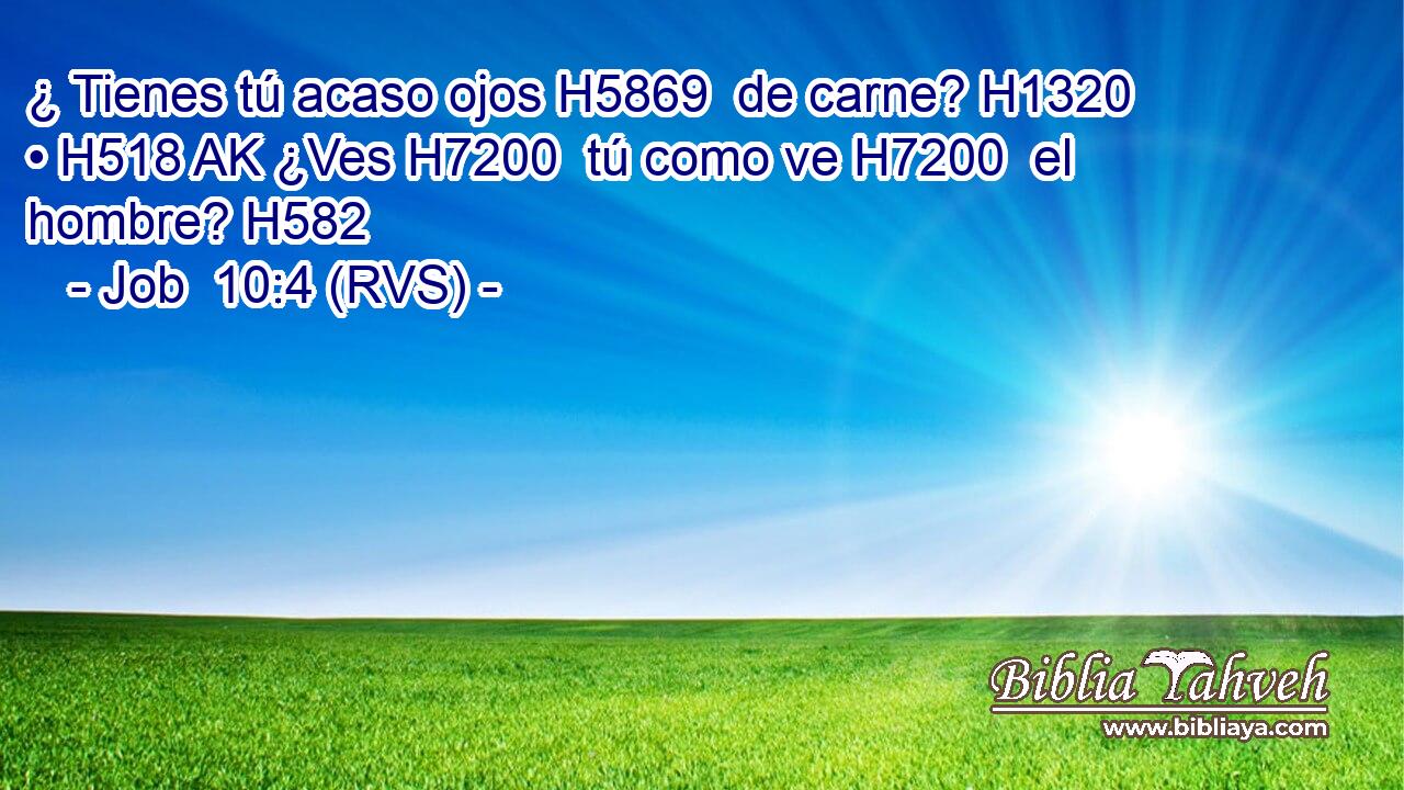 ¿ Tienes tú acaso ojos H5869  de carne? H1320  • H518 AK ¿Ves H7200  tú como ve H7200  el hombre? H582  