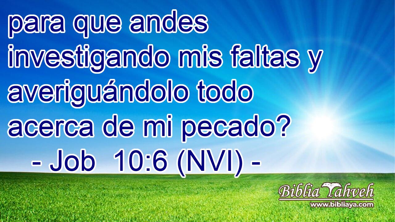  para que andes investigando mis faltas y averiguándolo todo acerca de mi pecado? 