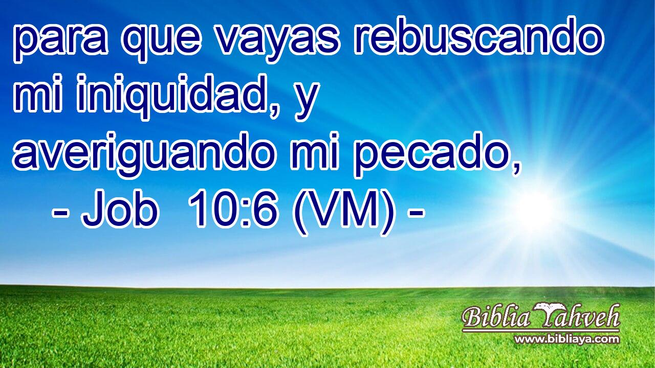  para que vayas rebuscando mi iniquidad, y averiguando mi pecado, 