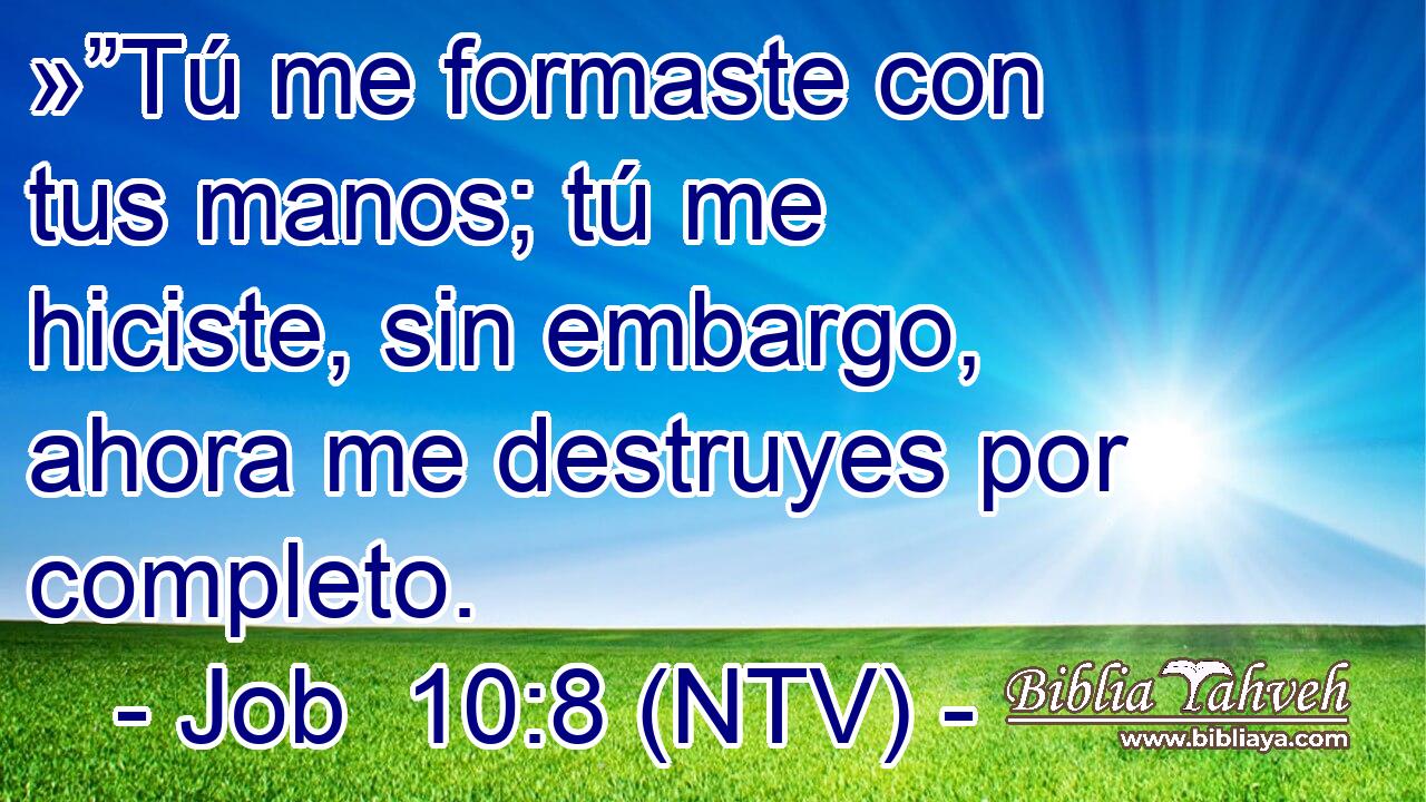 »”Tú me formaste con tus manos; tú me hiciste, sin embargo, ahora me destruyes por completo.