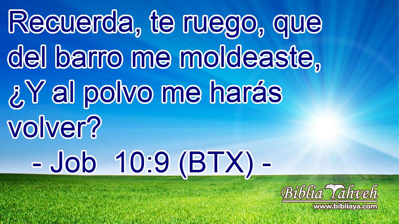 Recuerda, te ruego, que del barro me moldeaste, ¿Y al polvo me harás volver?