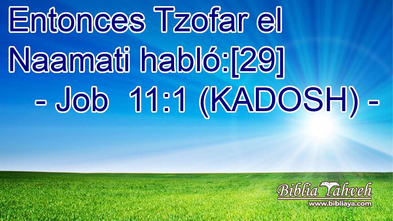  Entonces Tzofar el Naamati habló:[29] 