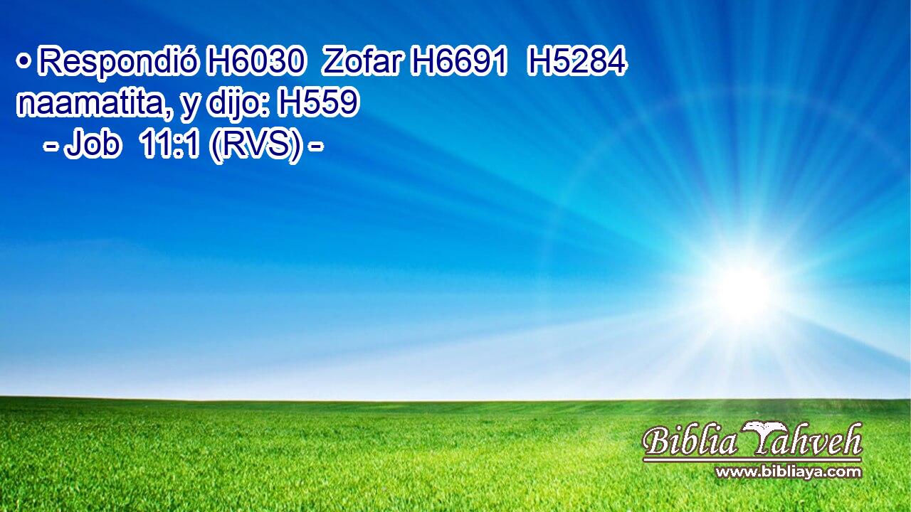 • Respondió H6030  Zofar H6691  H5284 naamatita, y dijo: H559  