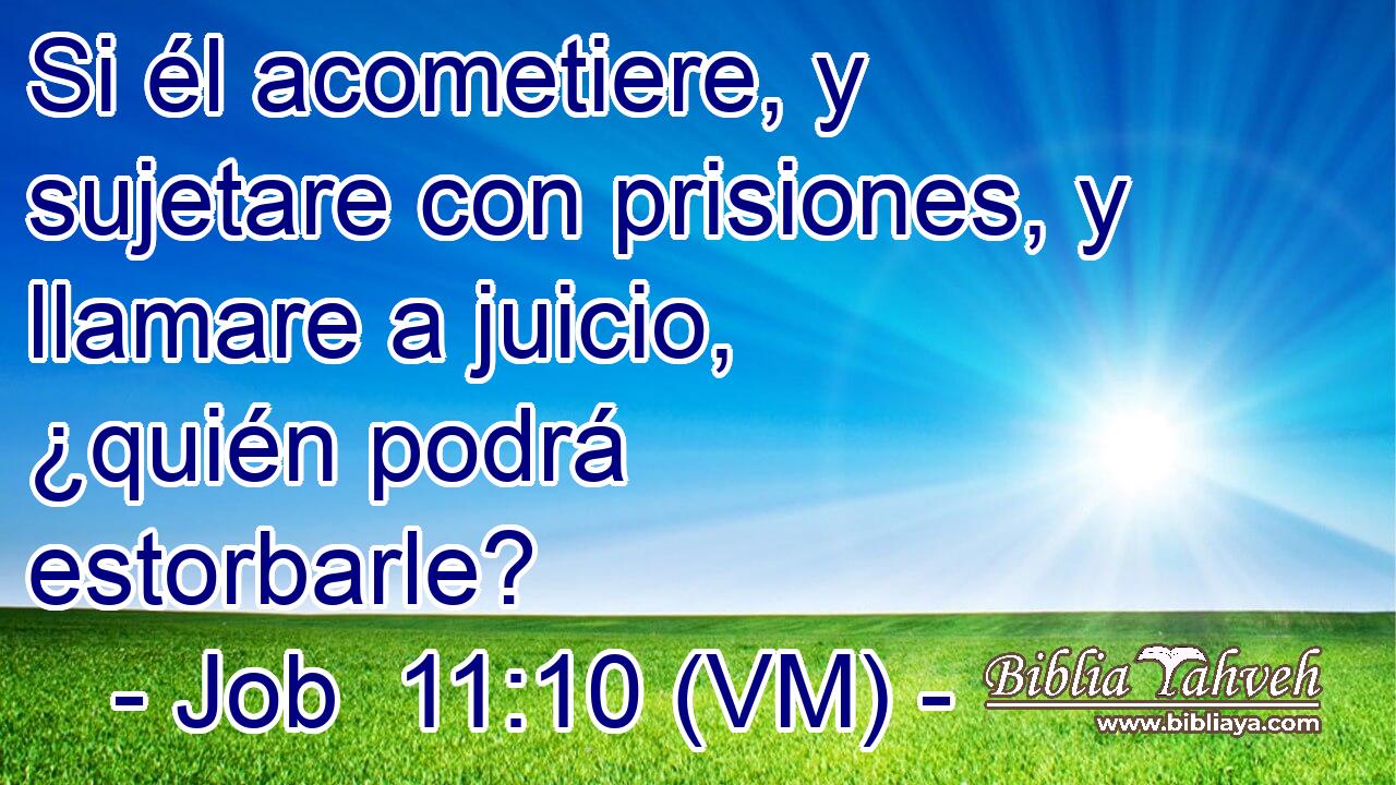  Si él acometiere, y sujetare con prisiones, y llamare a juicio, ¿quién podrá estorbarle? 