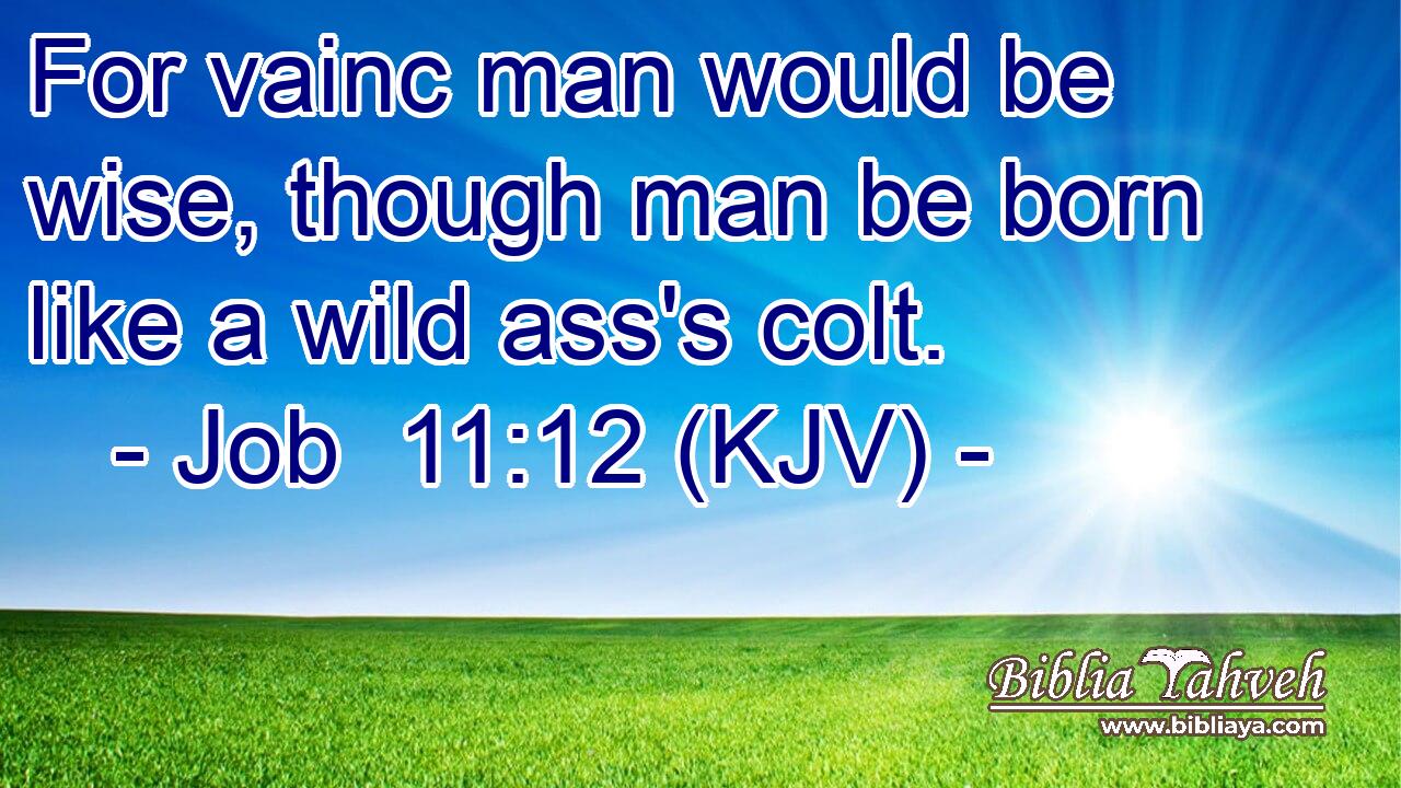 For vainc man would be wise, though man be born like a wild ass's colt.