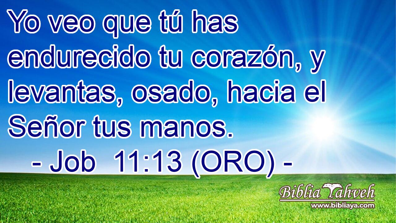  Yo veo que tú has endurecido tu corazón, y levantas, osado, hacia el Señor tus manos. 