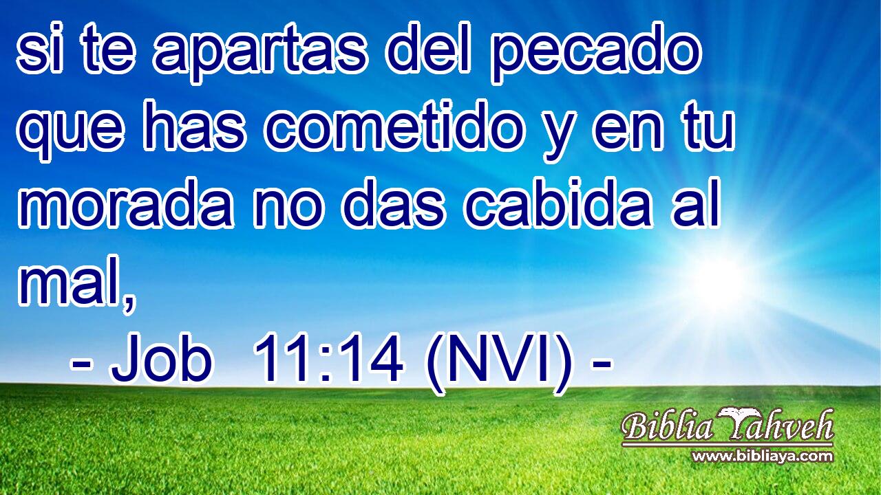  si te apartas del pecado que has cometido y en tu morada no das cabida al mal, 
