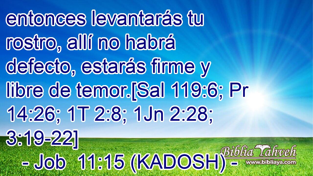  entonces levantarás tu rostro, allí no habrá defecto, estarás firme y libre de temor.[Sal 119:6; Pr 14:26; 1T 2:8; 1Jn 2:28; 3:19-22] 