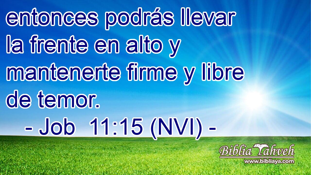  entonces podrás llevar la frente en alto y mantenerte firme y libre de temor. 