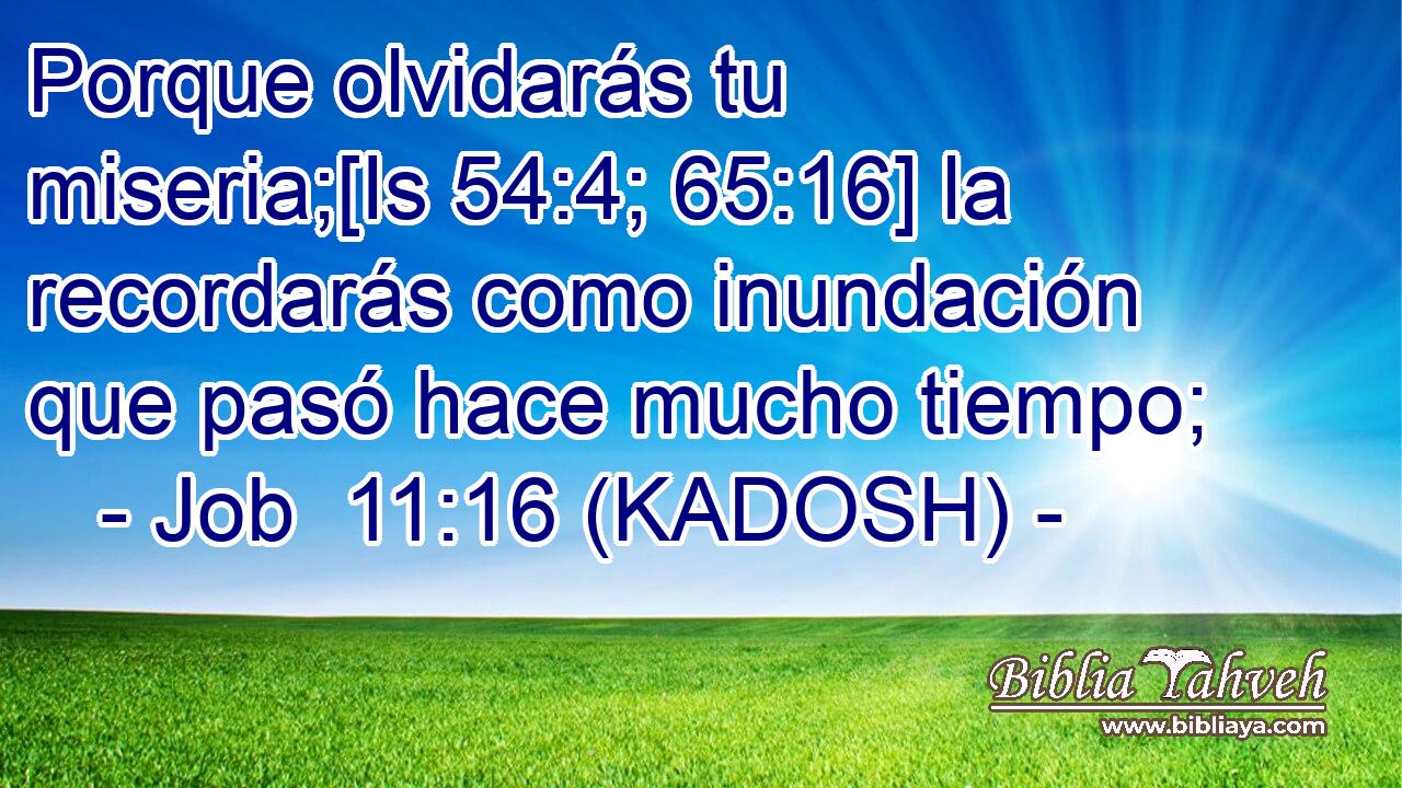  Porque olvidarás tu miseria;[Is 54:4; 65:16] la recordarás como inundación que pasó hace mucho tiempo; 