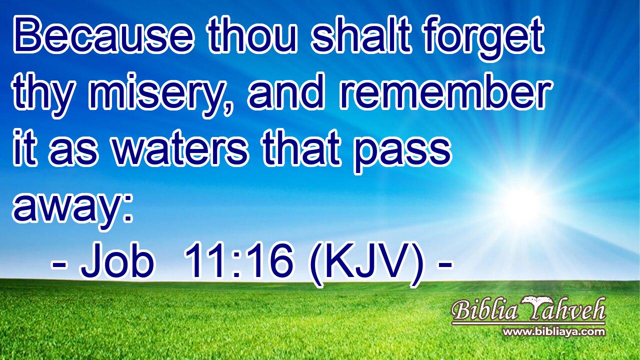 Because thou shalt forget thy misery, and remember it as waters that pass away: