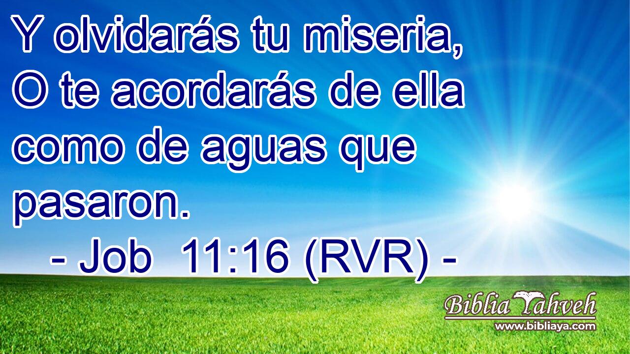 Y olvidarás tu miseria, O te acordarás de ella como de aguas que pasaron.