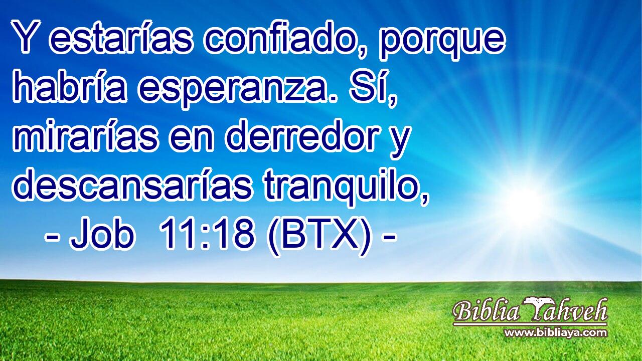 Y estarías confiado, porque habría esperanza. Sí, mirarías en derredor y descansarías tranquilo,