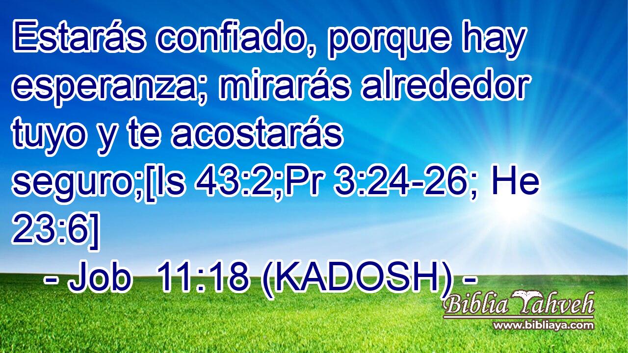  Estarás confiado, porque hay esperanza; mirarás alrededor tuyo y te acostarás seguro;[Is 43:2;Pr 3:24-26; He 23:6] 