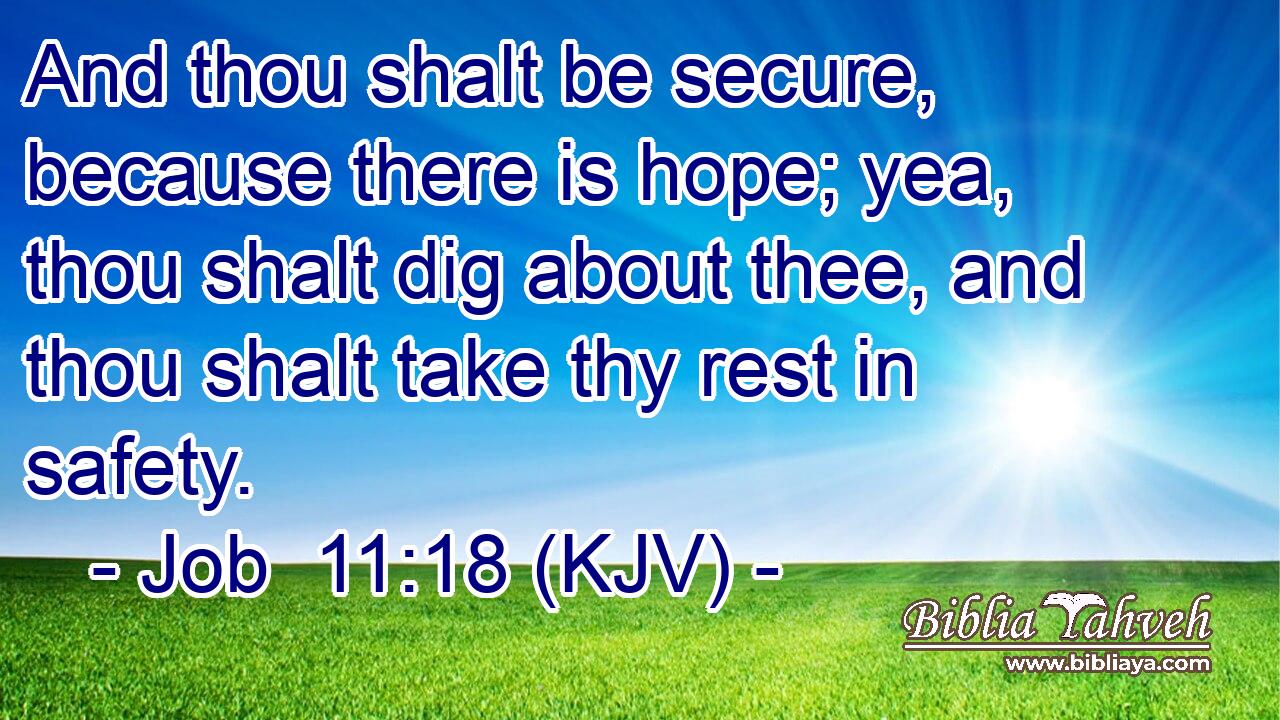 And thou shalt be secure, because there is hope; yea, thou shalt dig about thee, and thou shalt take thy rest in safety.