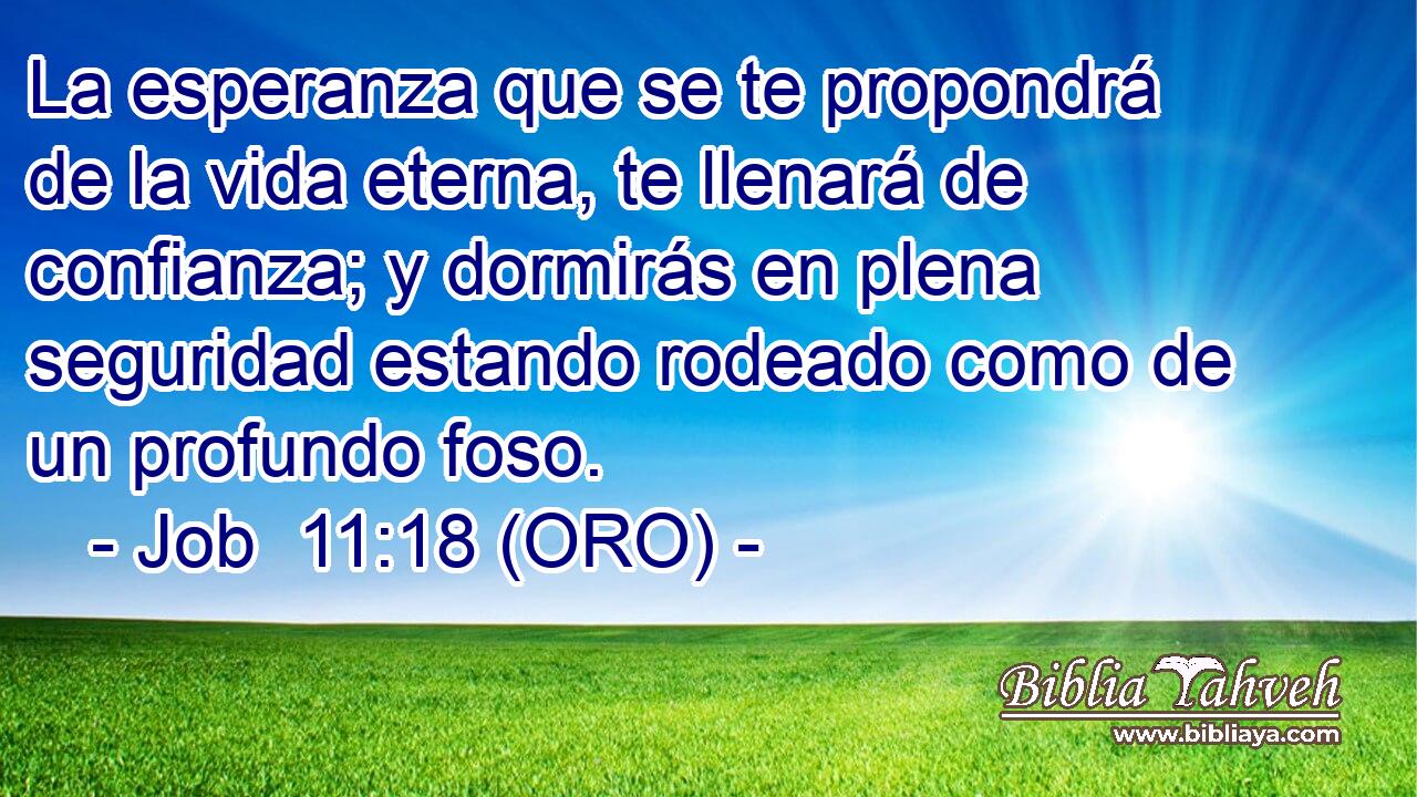  La esperanza que se te propondrá de la vida eterna, te llenará de confianza; y dormirás en plena seguridad estando rodeado como de un profundo foso. 