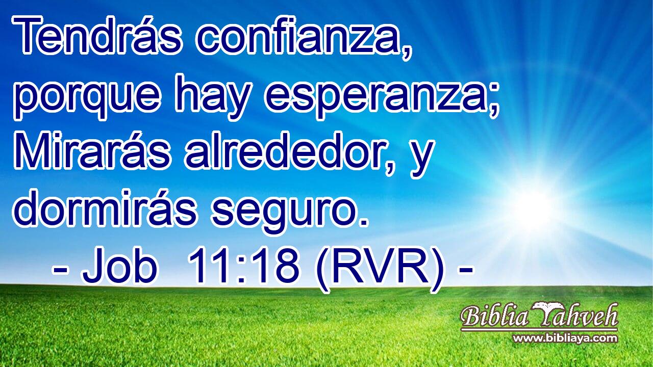 Tendrás confianza, porque hay esperanza; Mirarás alrededor, y dormirás seguro.