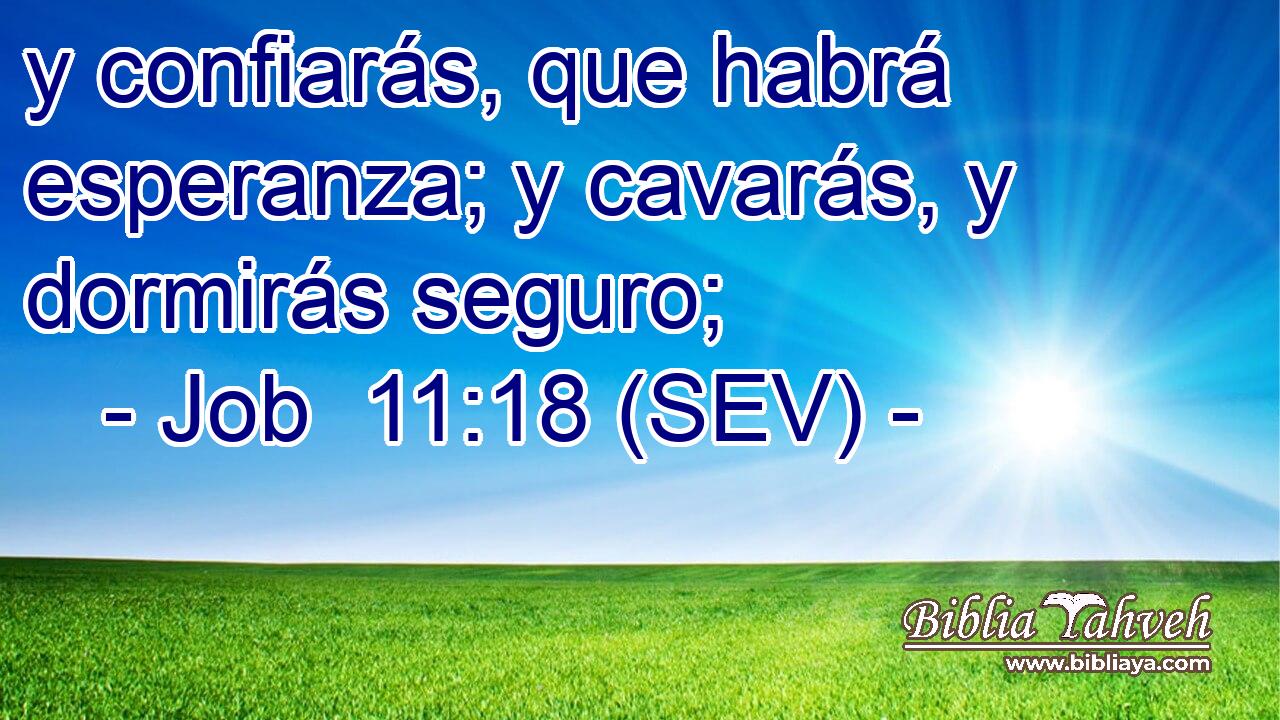 y confiarás, que habrá esperanza; y cavarás, y dormirás seguro;