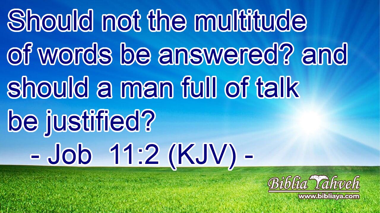 Should not the multitude of words be answered? and should a man full of talk be justified?