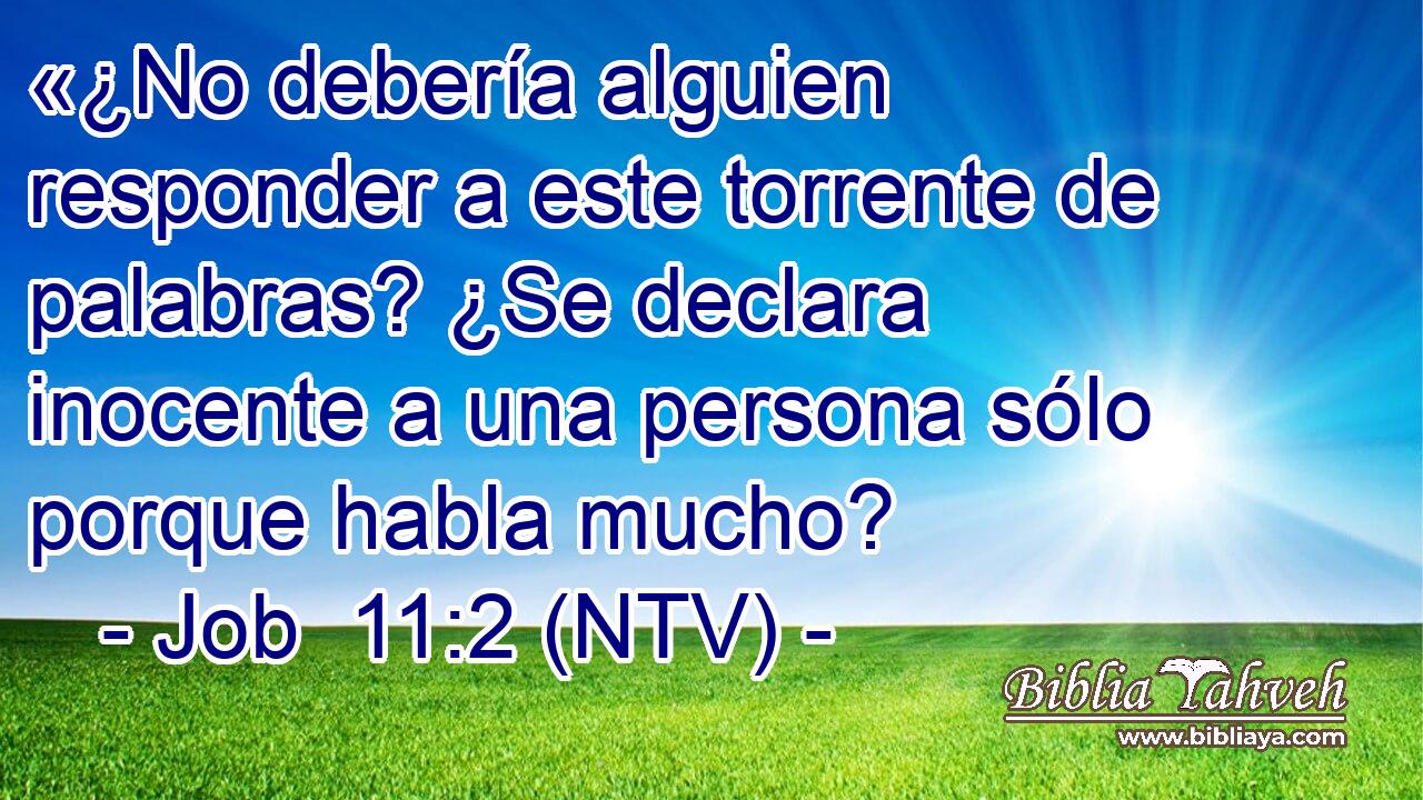 «¿No debería alguien responder a este torrente de palabras? ¿Se declara inocente a una persona sólo porque habla mucho?
