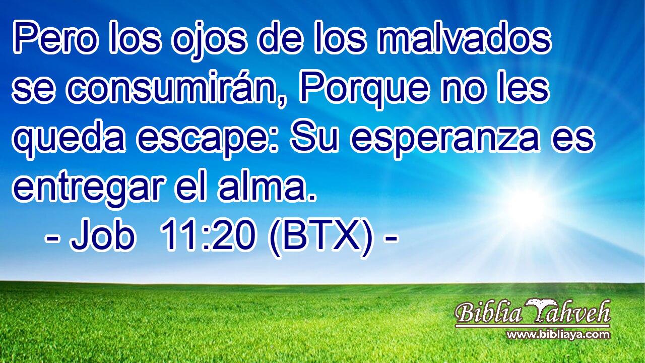 Pero los ojos de los malvados se consumirán, Porque no les queda escape: Su esperanza es entregar el alma.