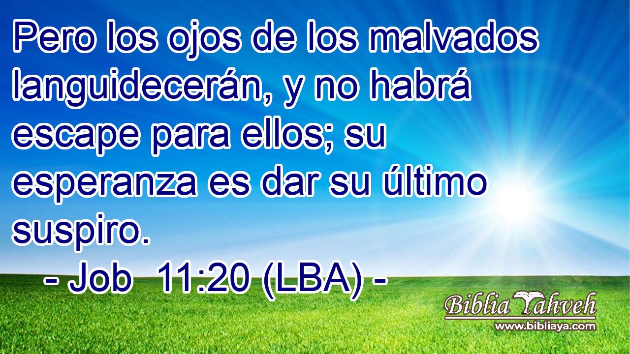 Pero los ojos de los malvados languidecerán, y no habrá escape para ellos; su esperanza es dar su último suspiro.