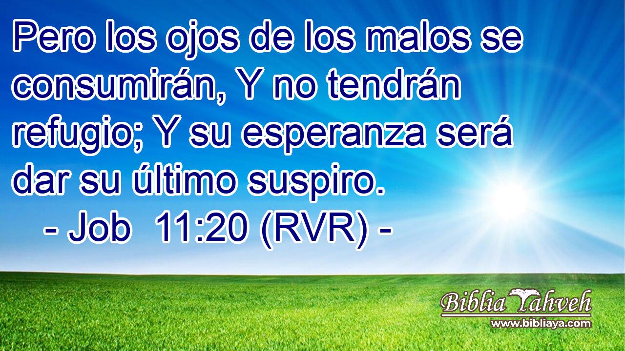 Pero los ojos de los malos se consumirán, Y no tendrán refugio; Y su esperanza será dar su último suspiro.