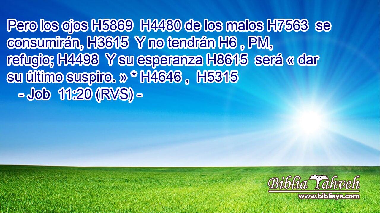Pero los ojos H5869  H4480 de los malos H7563  se consumirán, H3615  Y no tendrán H6 , PM,  refugio; H4498  Y su esperanza H8615  será « dar su último suspiro. » * H4646 ,  H5315 