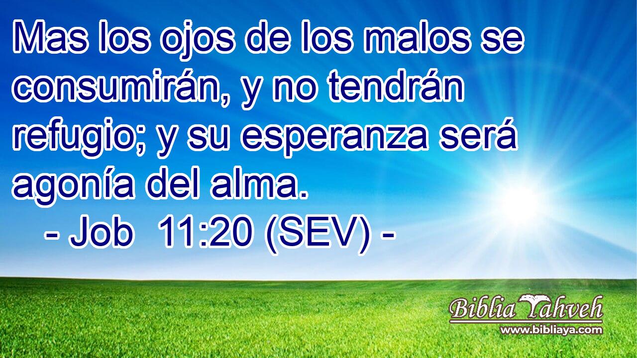 Mas los ojos de los malos se consumirán, y no tendrán refugio; y su esperanza será agonía del alma.