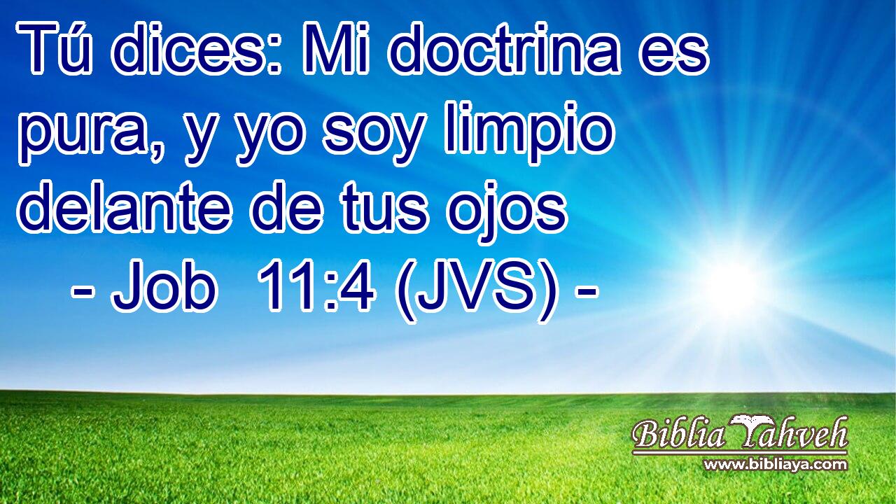 Tú dices: Mi doctrina es pura, y yo soy limpio delante de tus ojos