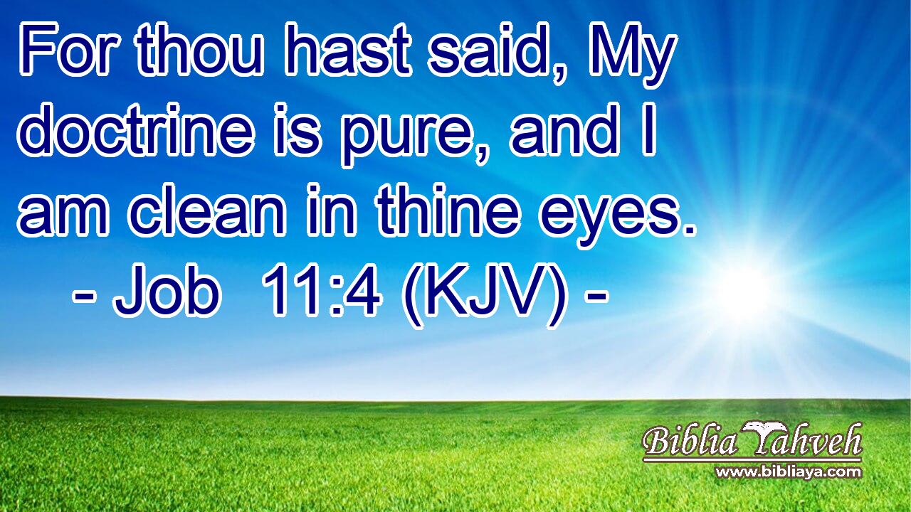 For thou hast said, My doctrine is pure, and I am clean in thine eyes.