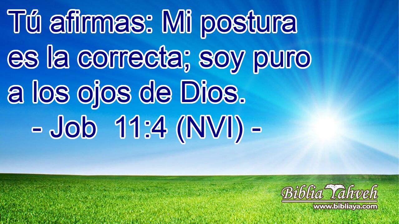  Tú afirmas: Mi postura es la correcta; soy puro a los ojos de Dios. 