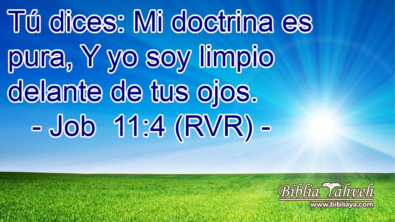 Tú dices: Mi doctrina es pura, Y yo soy limpio delante de tus ojos.