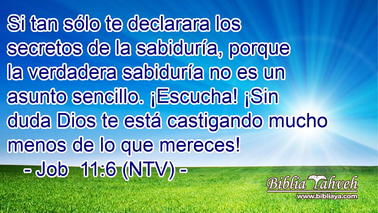 Si tan sólo te declarara los secretos de la sabiduría, porque la verdadera sabiduría no es un asunto sencillo. ¡Escucha! ¡Sin duda Dios te está castigando mucho menos de lo que mereces!