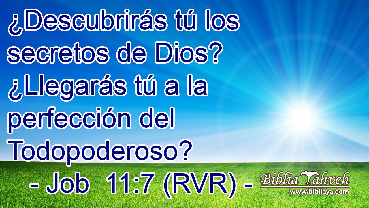 ¿Descubrirás tú los secretos de Dios? ¿Llegarás tú a la perfección del Todopoderoso?