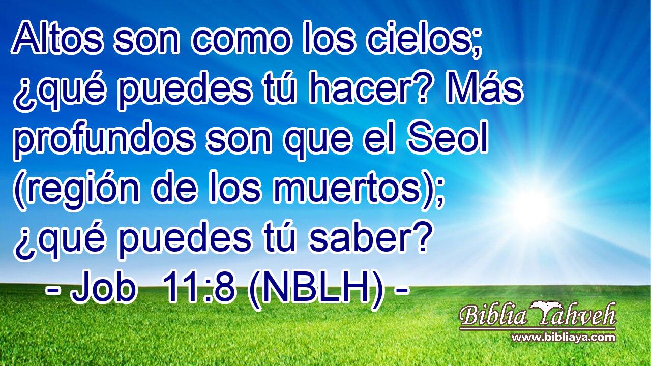  Altos son como los cielos; ¿qué puedes tú hacer? Más profundos son que el Seol (región de los muertos); ¿qué puedes tú saber? 