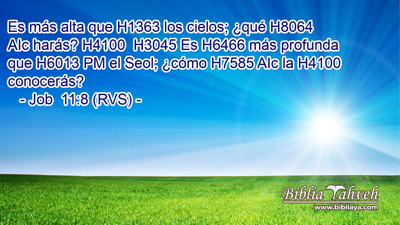 Es más alta que H1363 los cielos; ¿qué H8064 AIc harás? H4100  H3045 Es H6466 más profunda que H6013 PM el Seol; ¿cómo H7585 AIc la H4100 conocerás? 