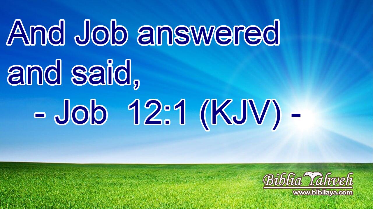 And Job answered and said,