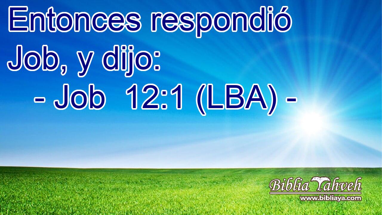 Entonces respondió Job, y dijo: