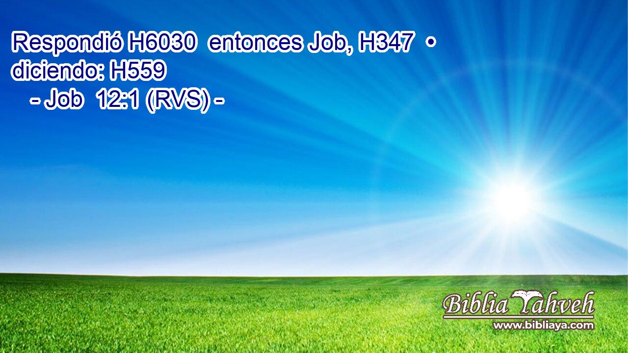Respondió H6030  entonces Job, H347  • diciendo: H559  