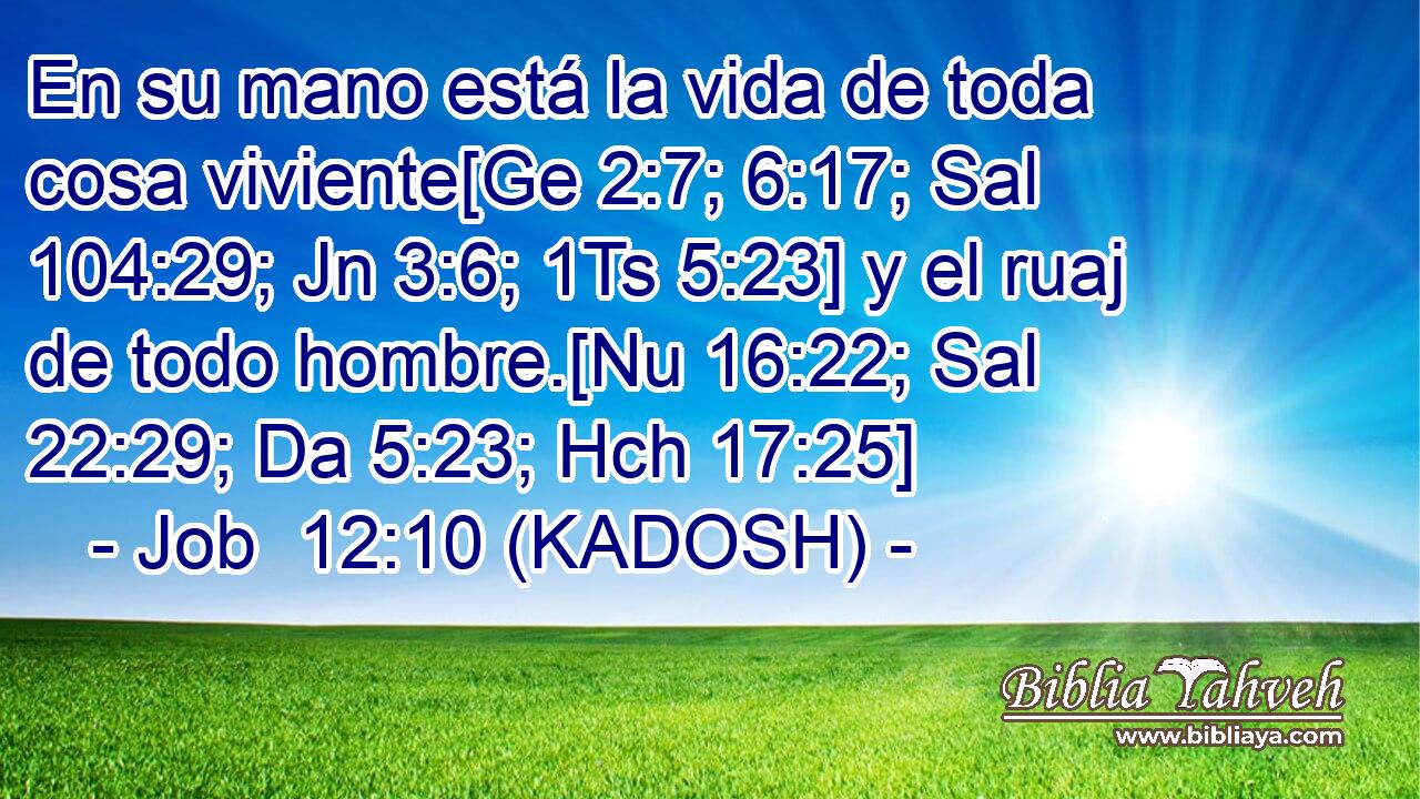  En su mano está la vida de toda cosa viviente[Ge 2:7; 6:17; Sal 104:29; Jn 3:6; 1Ts 5:23] y el ruaj de todo hombre.[Nu 16:22; Sal 22:29; Da 5:23; Hch 17:25] 