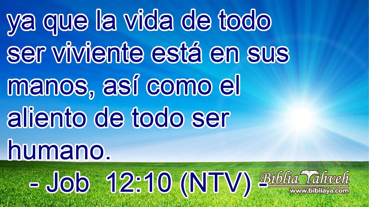 ya que la vida de todo ser viviente está en sus manos, así como el aliento de todo ser humano.