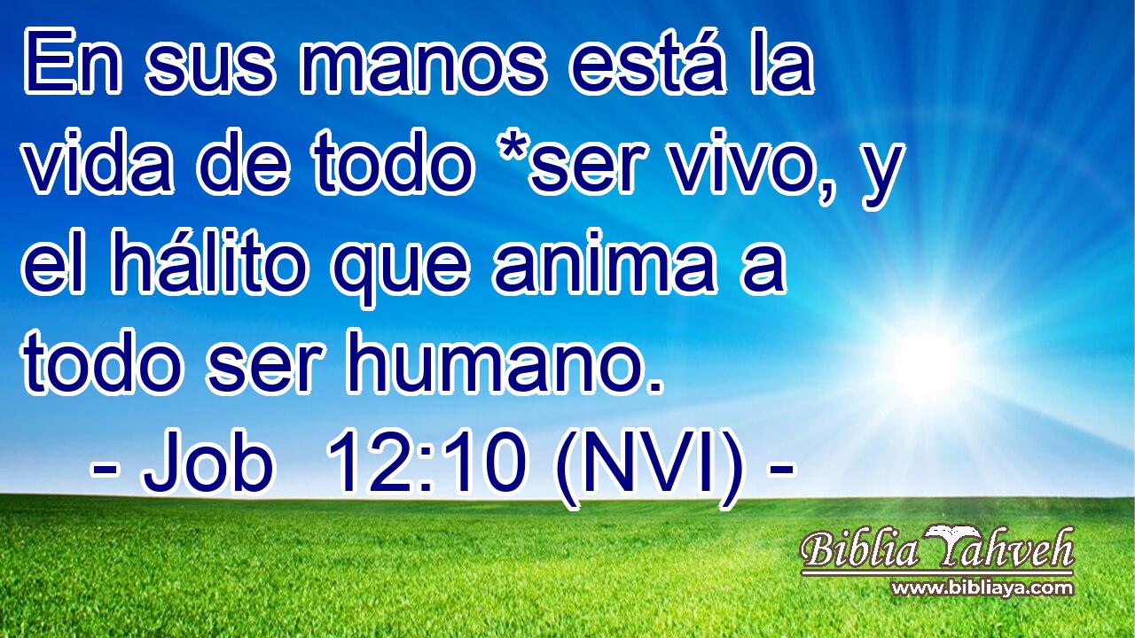  En sus manos está la vida de todo *ser vivo, y el hálito que anima a todo ser humano. 