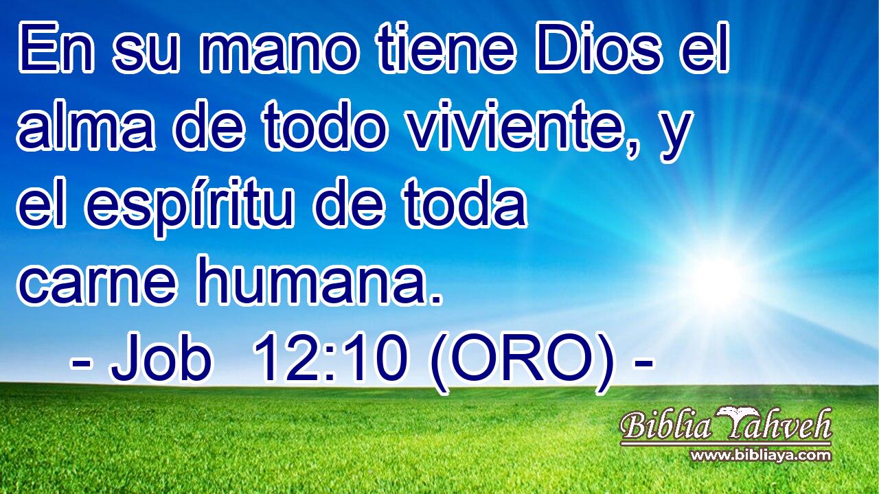  En su mano tiene Dios el alma de todo viviente, y el espíritu de toda carne humana. 