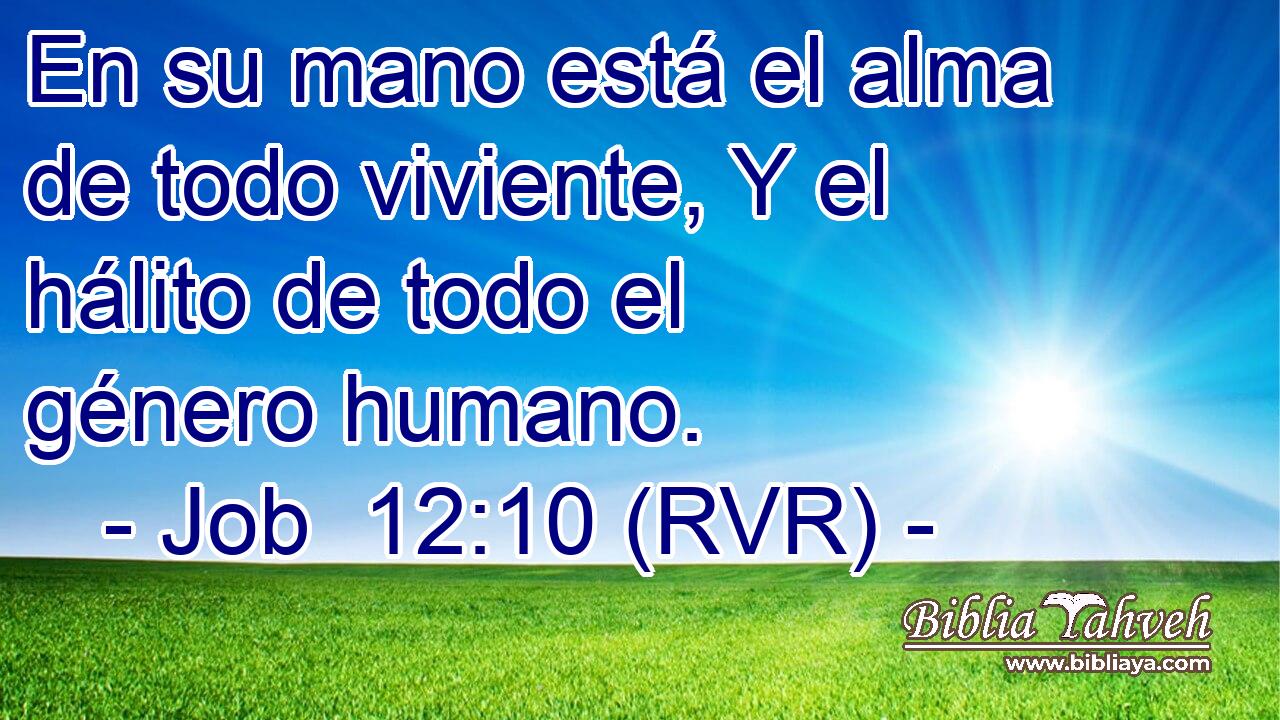En su mano está el alma de todo viviente, Y el hálito de todo el género humano.
