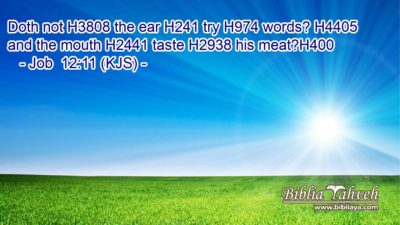 Doth not H3808 the ear H241 try H974 words? H4405 and the mouth H2441 taste H2938 his meat?H400