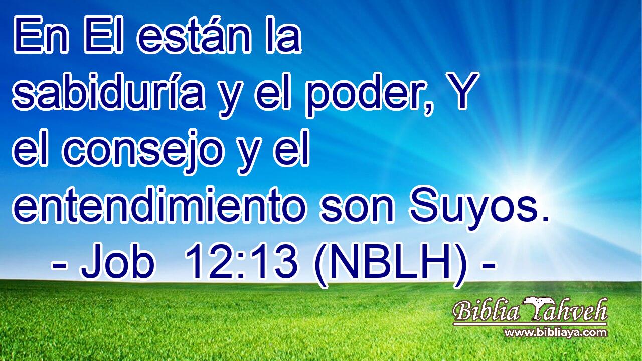  En El están la sabiduría y el poder, Y el consejo y el entendimiento son Suyos. 