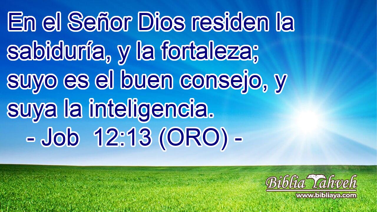  En el Señor Dios residen la sabiduría, y la fortaleza; suyo es el buen consejo, y suya la inteligencia. 