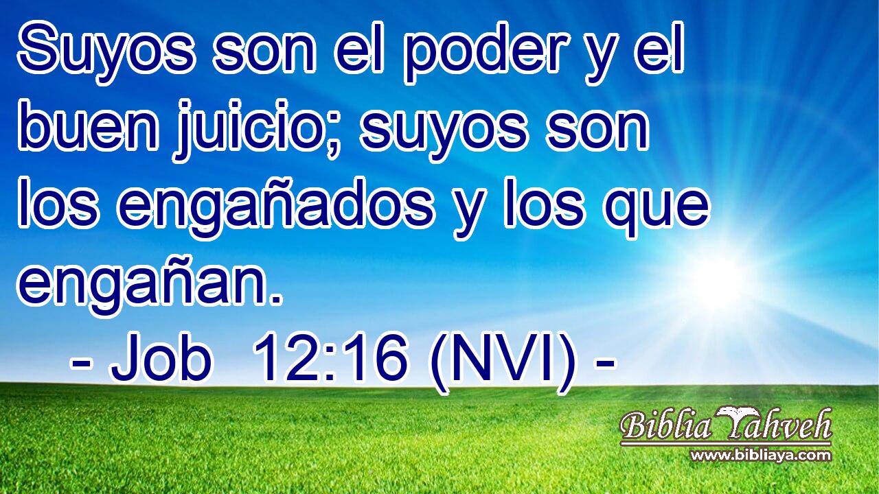  Suyos son el poder y el buen juicio; suyos son los engañados y los que engañan. 